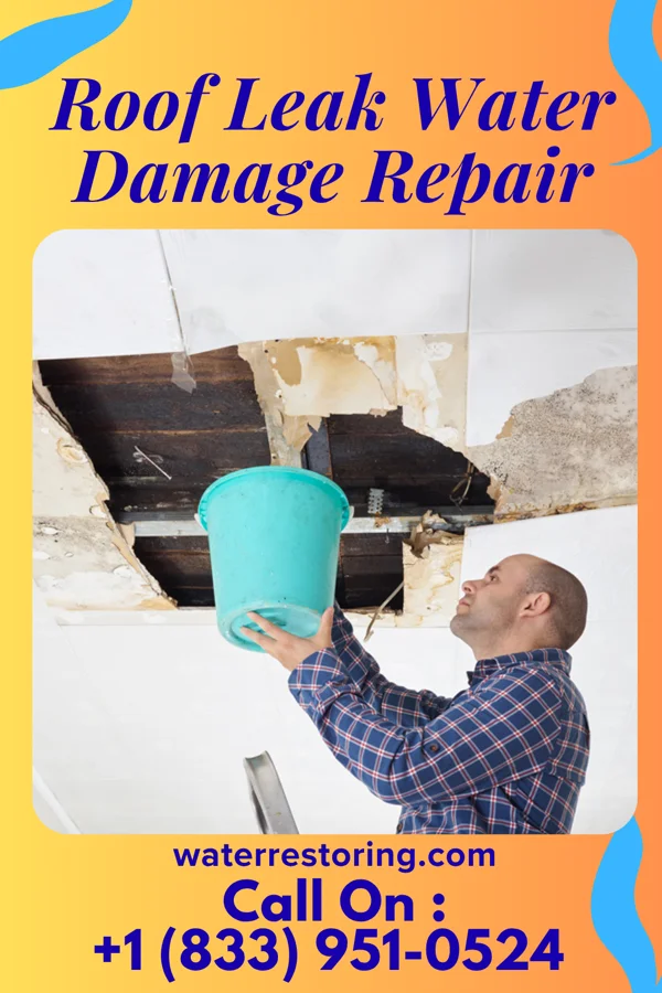 Roof Leak Water Damage Repair in Hoffman, NC