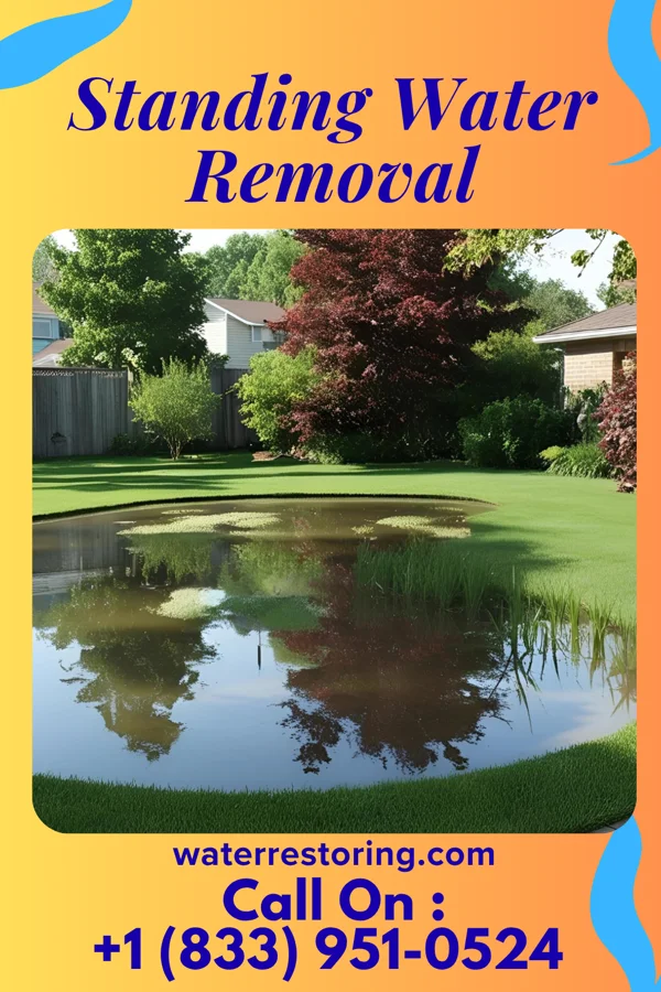 Standing Water Removal in Hoffman, NC